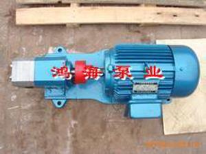 潤滑泵-潤滑油泵-不銹鋼外潤滑泵