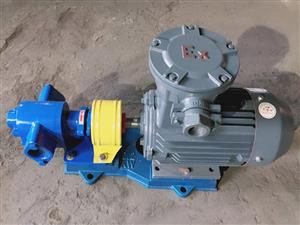 防爆齒輪泵-防爆油泵-銅齒輪泵