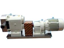 樹脂泵-糖蜜泵-稠油泵