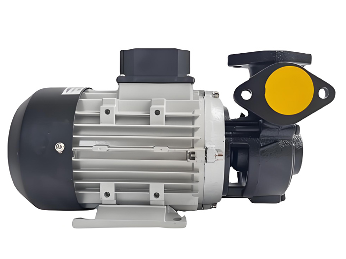 ys-15b-200高溫導熱油泵