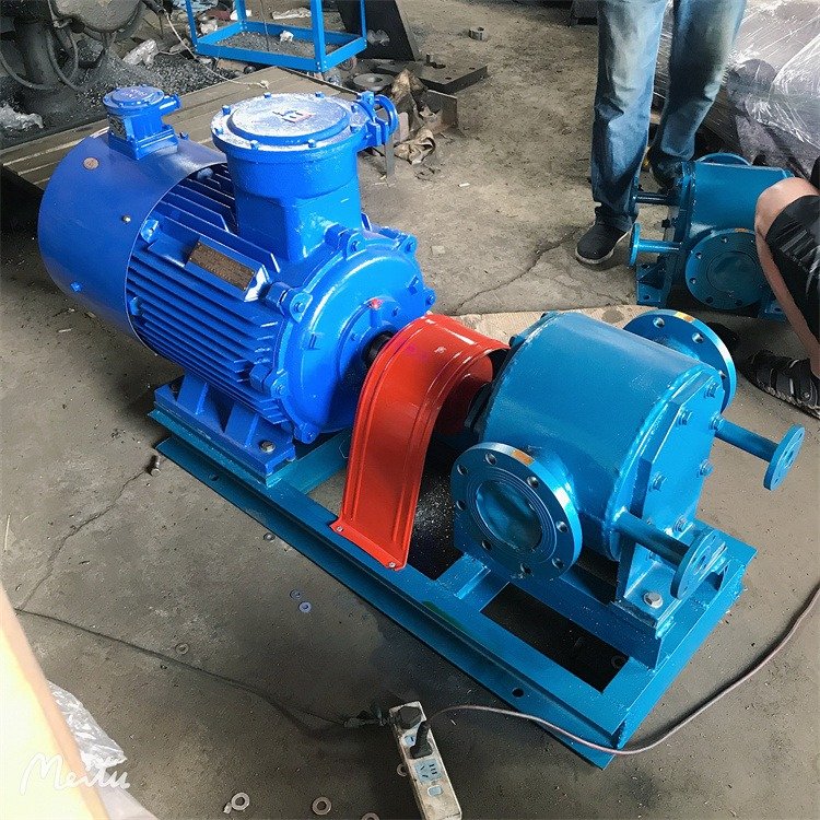 FXA不銹鋼外潤滑泵