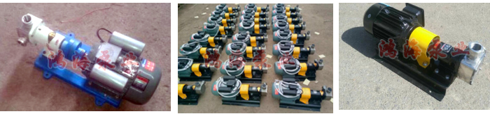 <strong>柔性轉子泵</strong>